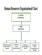 Human Resources Organizational Chart Human Resources