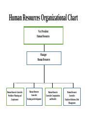 sales and marketing organizational chart docx atha