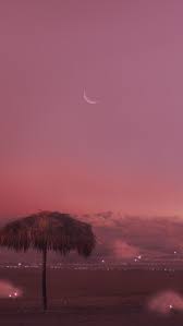 Find new heights of luxury in the loren at pink beach. Hd Tropical Pink Sunset Wallpapers Peakpx