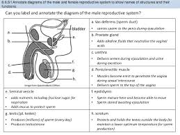 bioknowledgy presentation on 6 6 hormones homeostasis and