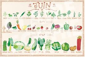 4 Bp Blogspot Com Eqezgrsobyw V063zpt5qki Aaaaaaaagl4 X1o0bmoc2fmbnh7bxavzrd4s5m9dz Calendrier Fruits Et Legumes Fruits Et Legumes De Saison Fruits Et Legumes