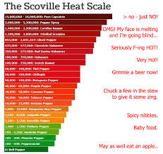 77 Explicit Chili Heat Scale