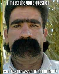 Is It Me Or Does It Look Like He Has A Tupe Too Hilarious Funny Photos Weird Pictures