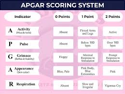 Image result for APGAR Score