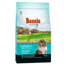 Buy Bonnie Cat Food Online In Pakistan In 2020 Best Cat Food Kitten Food Cat Food