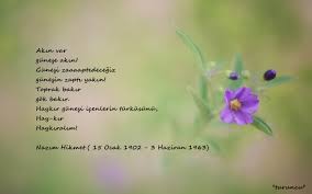 Sende yoktum zaten ben, ben yine bende bittim. Nazim Hikmet Ustayi Saygi Ve Ozlemle Aniyoruz Gelin Canlar