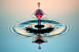 Liquid Drop Art Photography By Corrie White Splash Photography Canvas Wall Art Contemporary Art