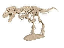 Dinosaur bones give 170 prayer experience when buried, only 10 experience less than frost dragon bones. T Rex Skeleton By Makerbot Thingiverse