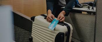 Bagage En Soute