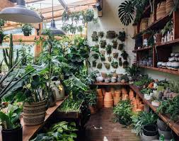 Pin On Interiors With Plants And More Plants