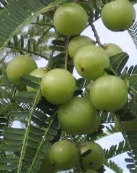 Pin On Nature