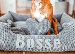 With dog blankets, there are two schools of thoughts: Platinum Gray Gray Dog Bed With Name Hundstaff