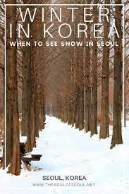 Can I See Snow In Seoul In The Winter Korea Winter South Korea Travel Korea Travel