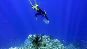 Taman laut olele yang terletak di suwawa timur kabupaten bone bolango memiliki keunggulan kekayaan alam bawah laut serta keindahan terumbu karang yang. Bersihkan Taman Laut Olele