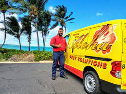 Hawaii pest solutions terrance manago 2265 hoonee pl., ste. Aloha Pest Solutions Hawaii Pest Control Termite Treatment Services