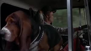 Some romantic flirtation and kissing. Yarn Breaker One This Is The Bandit Is The Snowman Out There Smokey And The Bandit 1977 Video Clips By Quotes 93d086e8 ç´—