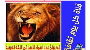 اسماء الاسد هل تعلم كم يبلغ عدد أسماء الأسد في اللغة العربية معلومات عن الحيوانات Youtube