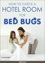 Clegg's termite & pest control is a family business that has been passed down through three generations over the past 50 years. The Tell Tale Signs Your Hotel Bed S Infested With Bed Bugs Bed Bugs Treatment Bed Bugs Hotel Bed