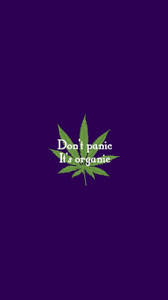 Use them in commercial designs under lifetime, perpetual & worldwide rights. Girly Weed Wallpaper Tumblr Wallpaper Paradise