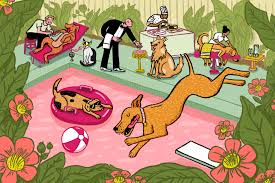 In this article, we are going to mention some of the most rewarding pets, however, before we do so, there are a few pointers which we would like to make. The Secret Price Of Pets The New York Times