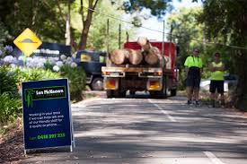 Tree removal, tree trimming, tree pruning, stump grinding & removal, palm tree trimming, palm tree skinning, fertilizing. Palm Tree Trimming Melbourne