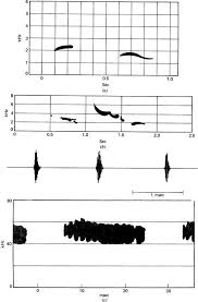 Camel open sound instant win and sweepstakes notes. Mechanocommunication Springerlink