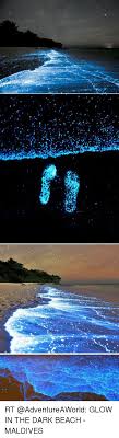 I went to a bioluminescent bay in puerto rico and it was beyond amazing! Maldives Beach Glow Flugzeugreisen