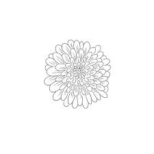He tenderly looked at the little master whose expression was full of disbelief and shock. Black Line Art Chrysanthemum Flower The Australian Mother Day Flower Autumn Flower In Top View Details Stock Illustration Illustration Of Drawing Flowers 150186864