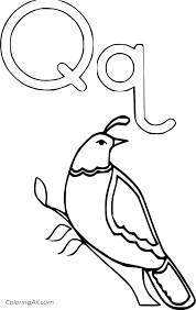 Enjoy this letter q coloring page which features a large letter q and pictures of things that start with this coloring page shows a large letter q with colorable pictures of a quilt, quill and queen inside it. Letter Q Coloring Pages Coloringall