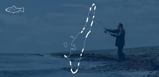 Wir befinden uns im hafen von spodsbjerg auf der wieder verrät der blick in die fischkisten, wer beim angeln erfolg hatte und wer sich nur mit mühe. Sport Fishing On Langeland Visitlangeland