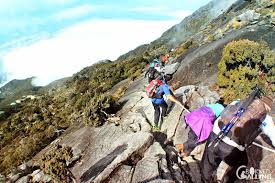 Overnight in kinabalu park or kundasang highlands (1500m a.s.l) prior to climb allows you to acclimatize to altitude changes and reduce ams while climbing 2d1n Budget Mount Kinabalu Climb Via Timpohon Trail Borneo Calling