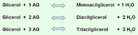 Resultado de imagen para triacilgliceroles estructura