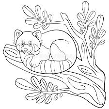Check spelling or type a new query. Coloring Pages Little Cute Red Panda On The Tree Branch Stock Vector Illustration Of Child Game 141139534