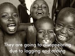 Title by Julia Tirado