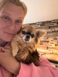 Have you seen a missing brindle dog in Peterborough County?