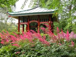 Ein japanischer garten , zen garten, teegarten oder auch betrachtungsgarten besticht oft durch with the partnership of the berlin food directory, this event is organized to spread general. Japan Jpg Bgbm