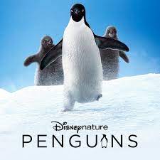 The official facebook page of the nhl's pittsburgh penguins. Penguins Disneynature