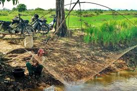 Borro perangkap ikan tradisional fish trap traditional from banboo hasilkan ikan melimpah ruahh. Infopublik Alat Tangkap Ikan Tradisional Ancau
