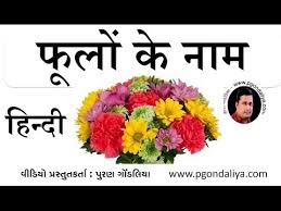 Yellow marigold flower name in hindi. à¤« à¤² à¤• à¤¨ à¤® Flowers Name In Hindi Learn Hindi By Puran Gondaliya Youtube