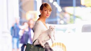Cat In Baby Carrier Free Shipping Available