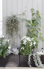 Staycation Stylizimo Blog Scandinavian Garden Urban Garden Scandi Garden