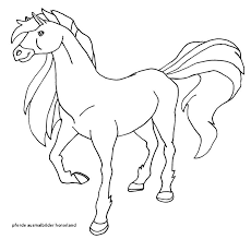 This website uses cookies to improve your experience while you navigate through the website. Ausmalbilder Pferde Horseland 2021