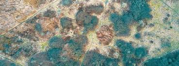 Need to remove that musty smell in your home? How To Get Rid Of Damp Mould Smell In Your House Star Domestic Cleaners