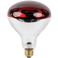 Lavex Janitorial 250 Watt Red Infrared Heat Lamp Light Bulb Infrared Light Bulb Heat Lamps Light Bulb