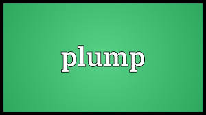 Plump Meaning Youtube