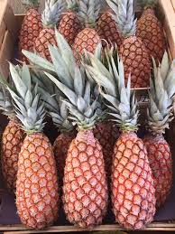 Ananas Pain De Sucre Avion Le Potager Coudoux