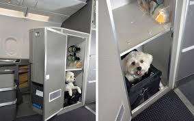 Review the requirements, then call us in for any travel to or from the following destinations — with the exception of service animals — pets must travel as cargo and are not permitted in the cabin. American Airlines First Class Cabins For Pets Travel Leisure Travel Leisure