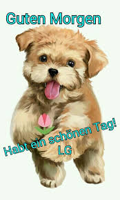 So Niedlich Guten Morgen Lustig Guten Morgen Guten Morgen Gruss