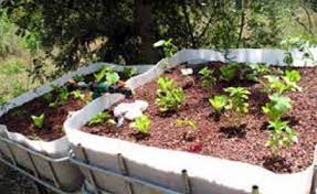 Aquaponics Media Bed Theeducators Co