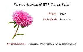 Pin By Rbs Gifts On Your Birth Month Flower Zodiac Sign Flowers Birth Month Flowers Month Flowers September Flowers